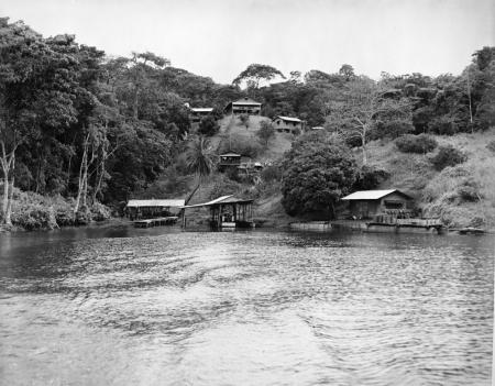 Barro Colorado Island from Gatun Lake, 1950, Record Unit 50, Smithsonian Institution Archives, neg. 