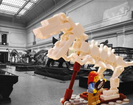 Lego Paleontologist at the National Museum of Natural History, 2014.