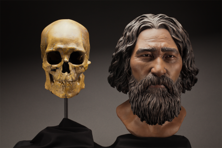 This clay facial reconstruction of Kennewick Man was carefully sculpted around the morphological fea