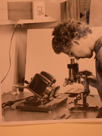 A woman wearing glasses looks into a microscope. 