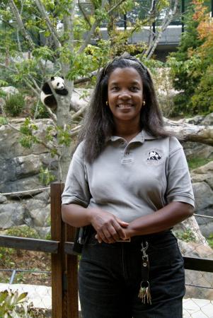 Lisa Stevens stands in front of the giant panda enclosure. 