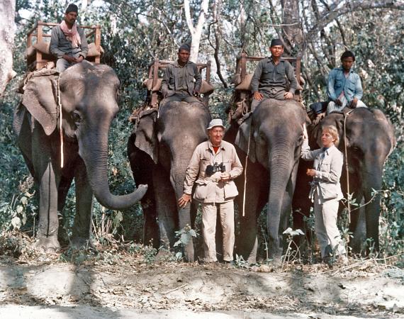 A man and woman in beige shirts and pants stand in front of four elephants. Four men are riding the 