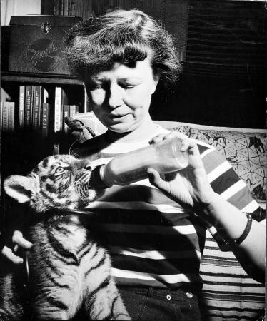 Photo of Lucile Quarry Mann bottle feeding tiger cub. 