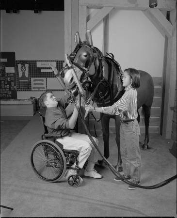 A boy and a girl harness a prop mule in an exhibit. The boy is in a wheelchair.