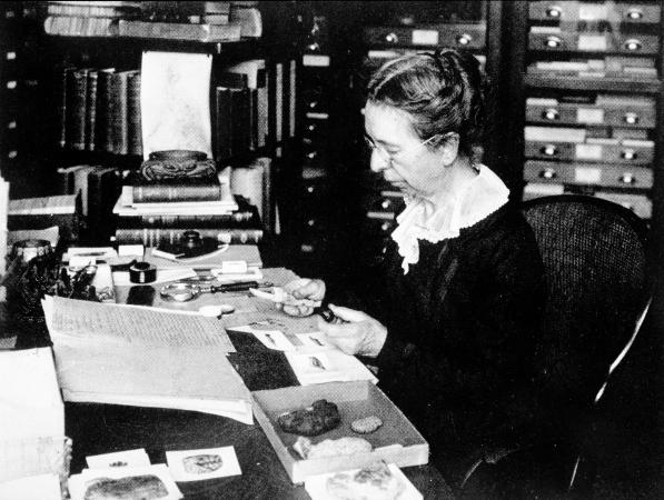 A black-and-white picture of Mary Jane Rathbun working at her desk at the Smithsonian Institution. 