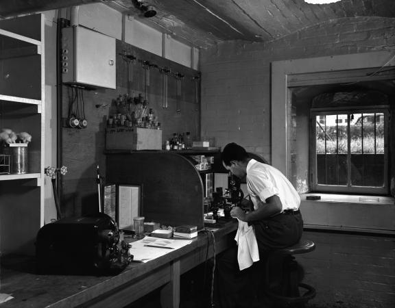 Black and white photograph of an unidentified man looking into a microscope. Around his desk are var