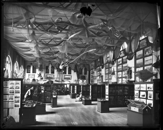 Fishing nets and a Giant Octopus hang from the ceiling of the Fisheries Exhibit in the U.S. National