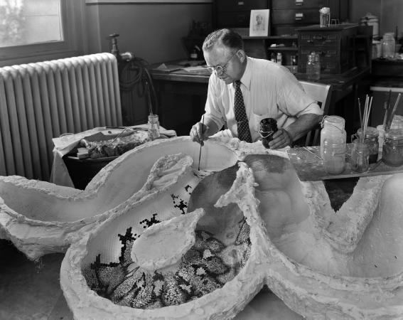 A man holds a paint brush to a plaster cast of an inside of a snake. There are jars with paint brush