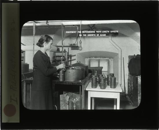 Dr. Elizabeth Harmon Uncovers the Histories of Smithsonian Women in Science