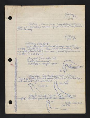 Image of Moynihan's field book entry concerning drawings of Ring-billed gulls, dated April 24, 1954.