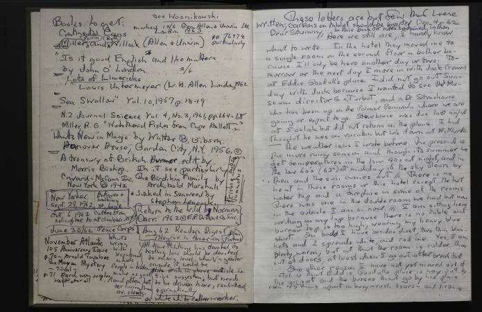 Two handwritten journal pages, written in black and blue ink. The left page is a list of books the a