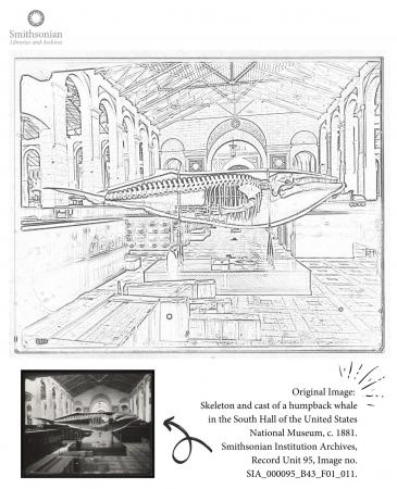 smithsonian museum coloring pages