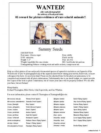 Funny flyer that includes two mugshots of a squirrel. The top of the flyer reads: "WANTED! alive and