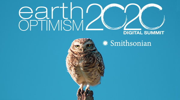 The wording over the light blue poster is: "earth optimism 2020." A perched burrowing owl looks to t