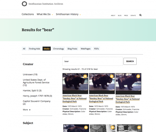 Screenshot of a wepbage where the user typed "bear." Three photographs of bears were in the results 