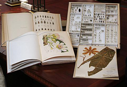 Botanical and entomological specimens.